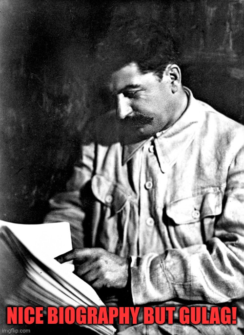 Stalin book | NICE BIOGRAPHY BUT GULAG! | image tagged in stalin pointing book,joseph stalin,books,soviet,gulag | made w/ Imgflip meme maker