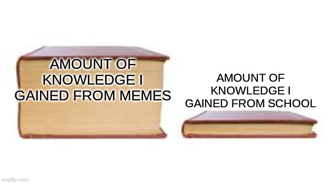 its truee | AMOUNT OF KNOWLEDGE I GAINED FROM SCHOOL; AMOUNT OF KNOWLEDGE I GAINED FROM MEMES | image tagged in big book small book | made w/ Imgflip meme maker