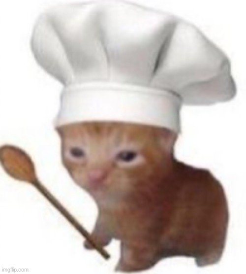 High Quality chef cat Blank Meme Template