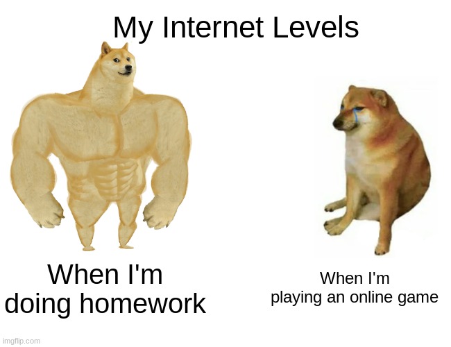 True | My Internet Levels; When I'm doing homework; When I'm playing an online game | image tagged in memes,buff doge vs cheems | made w/ Imgflip meme maker