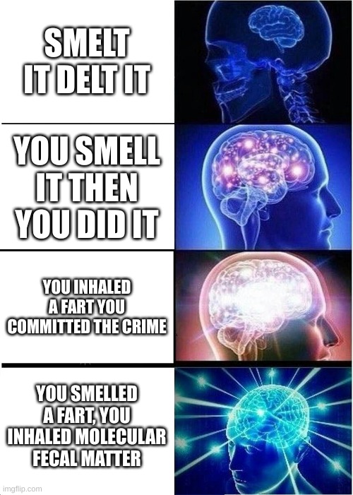 Expanding Brain | SMELT IT DELT IT; YOU SMELL IT THEN YOU DID IT; YOU INHALED A FART YOU COMMITTED THE CRIME; YOU SMELLED A FART, YOU INHALED MOLECULAR FECAL MATTER | image tagged in memes,expanding brain | made w/ Imgflip meme maker