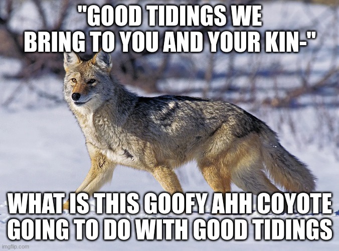 lol | "GOOD TIDINGS WE BRING TO YOU AND YOUR KIN-"; WHAT IS THIS GOOFY AHH COYOTE GOING TO DO WITH GOOD TIDINGS | image tagged in otherkin | made w/ Imgflip meme maker