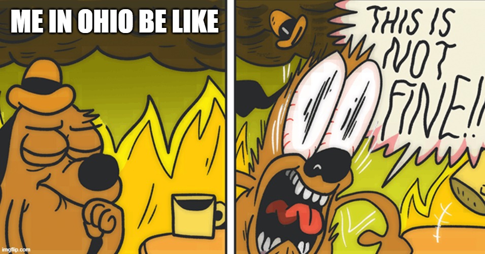 me in ohio be like | ME IN OHIO BE LIKE | image tagged in this is not fine | made w/ Imgflip meme maker