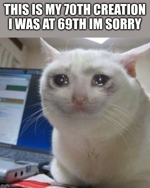 Crying cat | THIS IS MY 70TH CREATION I WAS AT 69TH IM SORRY | image tagged in crying cat | made w/ Imgflip meme maker