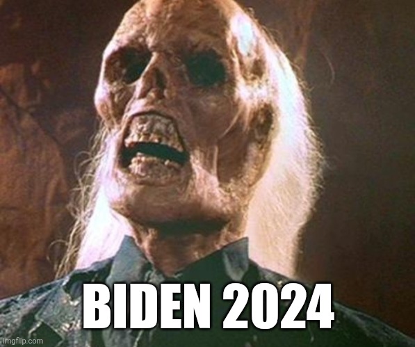 Biden 2024 | BIDEN 2024 | image tagged in memes | made w/ Imgflip meme maker
