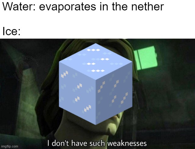 I don't have such weaknesses | Water: evaporates in the nether
 
Ice: | image tagged in i don't have such weakness | made w/ Imgflip meme maker