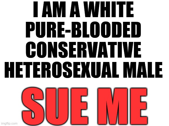 IS BEING MYSELF "HATE SPEECH" ?? | I AM A WHITE PURE-BLOODED CONSERVATIVE HETEROSEXUAL MALE; SUE ME | image tagged in blank white template,male,heterosexual,middle finger,political correctness | made w/ Imgflip meme maker