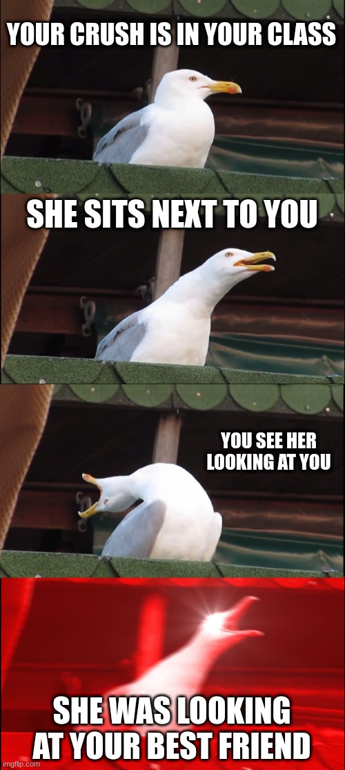 Inhaling Seagull | YOUR CRUSH IS IN YOUR CLASS; SHE SITS NEXT TO YOU; YOU SEE HER LOOKING AT YOU; SHE WAS LOOKING AT YOUR BEST FRIEND | image tagged in memes,inhaling seagull | made w/ Imgflip meme maker