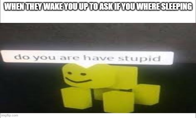 I hate this | WHEN THEY WAKE YOU UP TO ASK IF YOU WHERE SLEEPING | image tagged in sleep,stupid | made w/ Imgflip meme maker