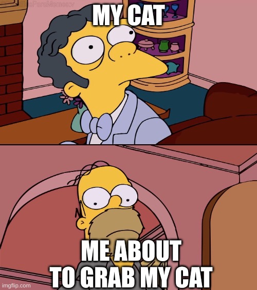 Homer and moe | MY CAT; ME ABOUT TO GRAB MY CAT | image tagged in homer and moe | made w/ Imgflip meme maker