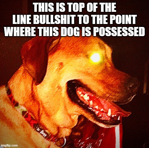 Then Perish Pupper | THIS IS TOP OF THE LINE BULLSHIT TO THE POINT WHERE THIS DOG IS POSSESSED | image tagged in then perish pupper | made w/ Imgflip meme maker