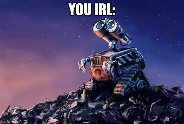 Wall-E | YOU IRL: | image tagged in wall-e | made w/ Imgflip meme maker