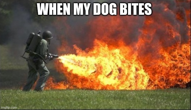 Kill it with fire | WHEN MY DOG BITES | image tagged in kill it with fire | made w/ Imgflip meme maker