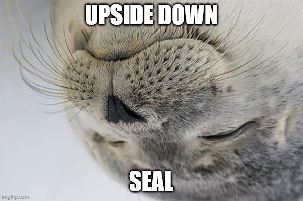 Upside down seal | UPSIDE DOWN; SEAL | image tagged in memes,satisfied seal | made w/ Imgflip meme maker