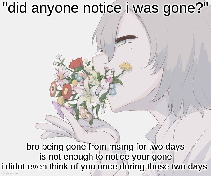 Avogado6 | "did anyone notice i was gone?"; bro being gone from msmg for two days is not enough to notice your gone
i didnt even think of you once during those two days | image tagged in avogado6 | made w/ Imgflip meme maker
