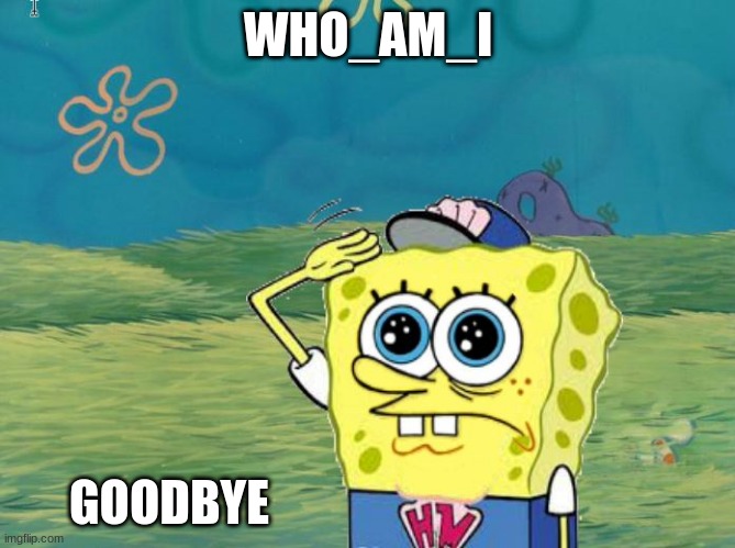 Spongebob salute | WHO_AM_I; GOODBYE | image tagged in spongebob salute | made w/ Imgflip meme maker