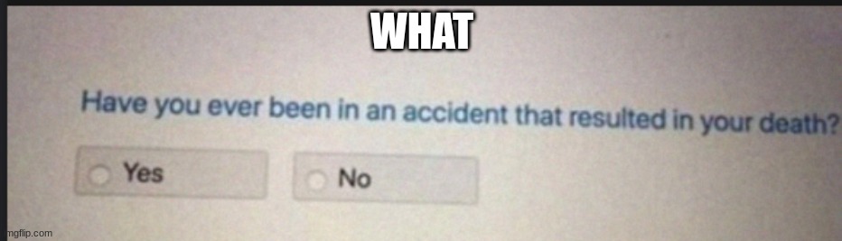 what | WHAT | made w/ Imgflip meme maker