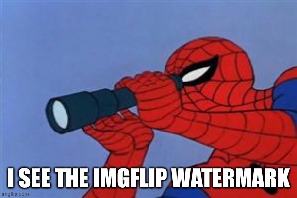 Spiderman binoculars | I SEE THE IMGFLIP WATERMARK | image tagged in spiderman binoculars | made w/ Imgflip meme maker