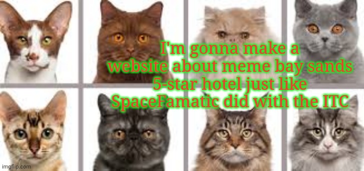 YourLocalKotek annoucment | I'm gonna make a website about meme bay sands 5-star hotel just like SpaceFamatic did with the ITC | image tagged in yourlocalkotek annoucment | made w/ Imgflip meme maker