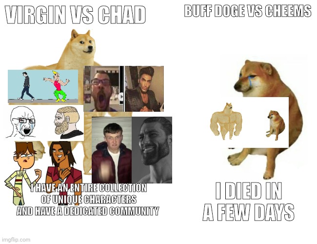 The Virgin buff doge Vs cheems Vs the chad vvc | VIRGIN VS CHAD; BUFF DOGE VS CHEEMS; I HAVE AN ENTIRE COLLECTION OF UNIQUE CHARACTERS AND HAVE A DEDICATED COMMUNITY; I DIED IN A FEW DAYS | image tagged in memes,buff doge vs cheems,virgin vs chad | made w/ Imgflip meme maker