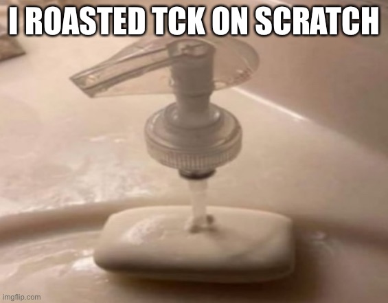 Shitpost | I ROASTED TCK ON SCRATCH | image tagged in shitpost | made w/ Imgflip meme maker