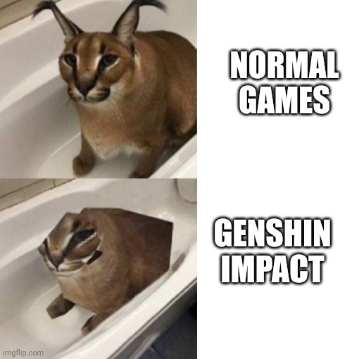 2 Bits Floppa | NORMAL GAMES GENSHIN IMPACT | image tagged in 2 bits floppa | made w/ Imgflip meme maker