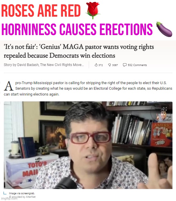 “Hah, hah! No more democracy! That’ll own the libs!” | Roses are red 🌹; Horniness causes erections 🍆 | image tagged in it's not fair that democrats win elections,maga,democracy,republicans,conservative logic,conservative hypocrisy | made w/ Imgflip meme maker