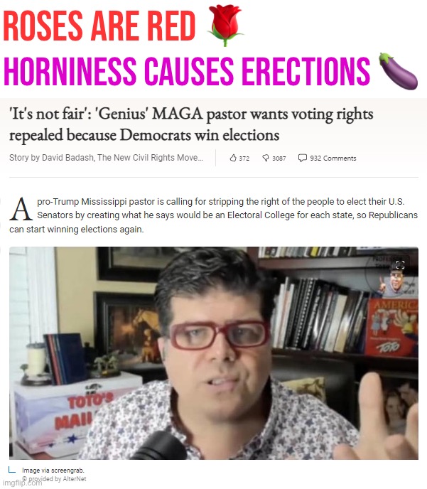 It's not fair that Democrats win elections | Roses are red 🌹; Horniness causes erections 🍆 | image tagged in it's not fair that democrats win elections | made w/ Imgflip meme maker
