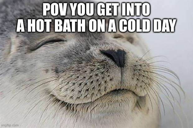 Satisfied Seal Meme | POV YOU GET INTO A HOT BATH ON A COLD DAY | image tagged in memes,satisfied seal | made w/ Imgflip meme maker