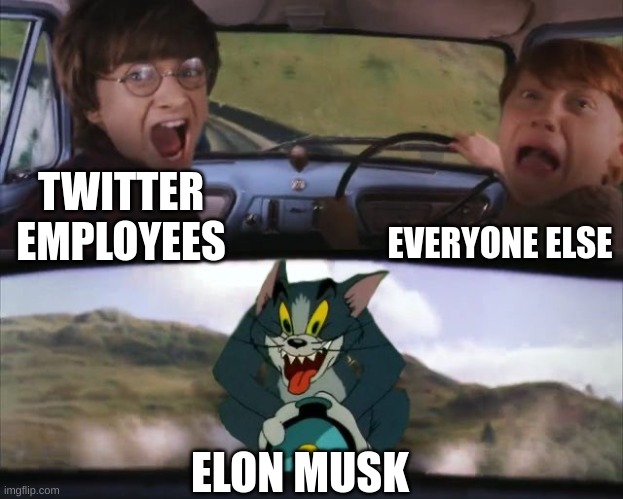Tom chasing Harry and Ron Weasly | EVERYONE ELSE; TWITTER EMPLOYEES; ELON MUSK | image tagged in tom chasing harry and ron weasly | made w/ Imgflip meme maker