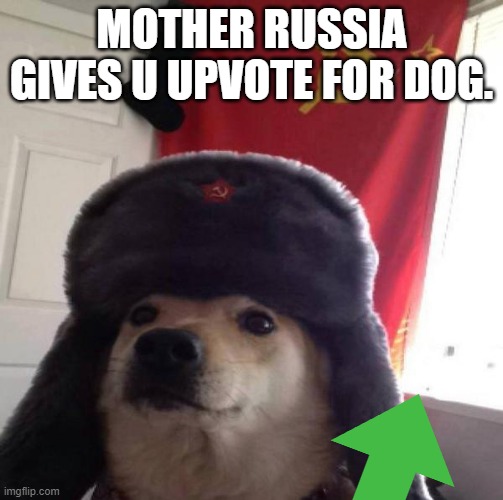 Russian Doge | MOTHER RUSSIA GIVES U UPVOTE FOR DOG. | image tagged in russian doge | made w/ Imgflip meme maker