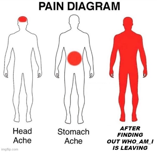 Pain Diagram | AFTER FINDING OUT WHO_AM_I IS LEAVING | image tagged in pain diagram | made w/ Imgflip meme maker