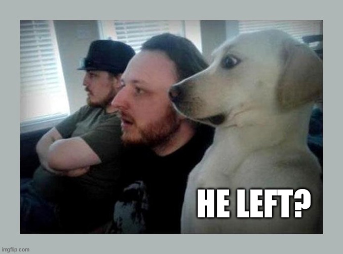 surprised dog | HE LEFT? | image tagged in surprised dog | made w/ Imgflip meme maker