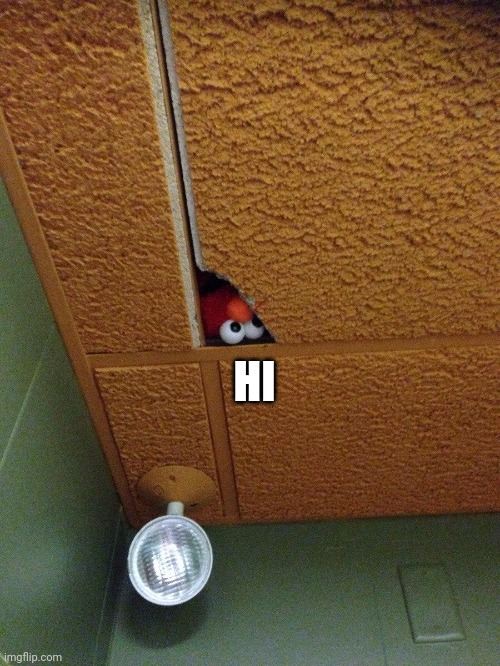 Elmo Hiding | HI | image tagged in elmo hiding | made w/ Imgflip meme maker