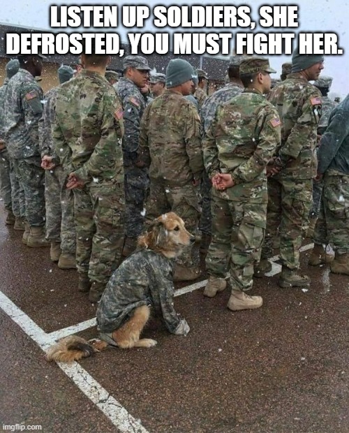 army dog | LISTEN UP SOLDIERS, SHE DEFROSTED, YOU MUST FIGHT HER. | image tagged in army dog | made w/ Imgflip meme maker