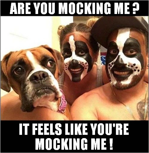 Dog Has Weird Owners ! | ARE YOU MOCKING ME ? IT FEELS LIKE YOU'RE
MOCKING ME ! | image tagged in dogs,weird,owners,make up,mocking | made w/ Imgflip meme maker