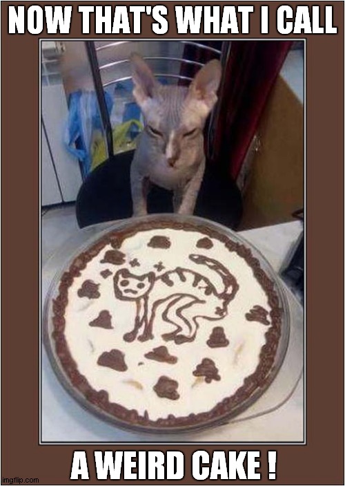 But Who Is The Message For ? | NOW THAT'S WHAT I CALL; A WEIRD CAKE ! | image tagged in cats,weird,cake | made w/ Imgflip meme maker