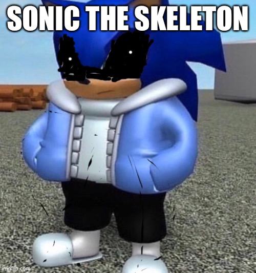 Sonans | SONIC THE SKELETON | image tagged in sonic,sans | made w/ Imgflip meme maker