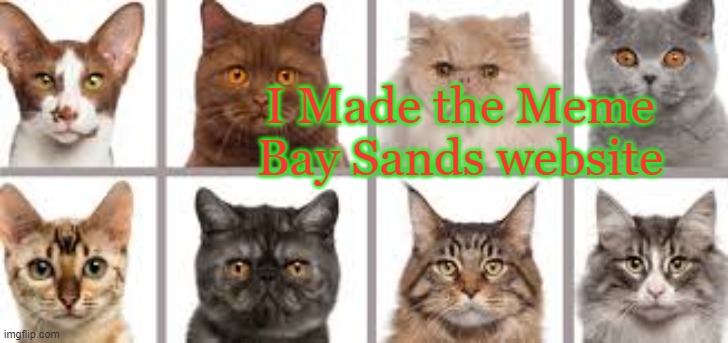 YourLocalKotek annoucment | I Made the Meme Bay Sands website | image tagged in yourlocalkotek annoucment | made w/ Imgflip meme maker