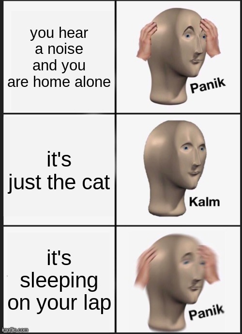 ACK | you hear a noise and you are home alone; it's just the cat; it's sleeping on your lap | image tagged in memes,panik kalm panik | made w/ Imgflip meme maker