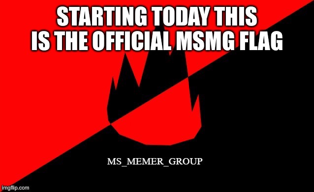 On the ITC’s Observation Deck this is the flag that now flies | STARTING TODAY THIS IS THE OFFICIAL MSMG FLAG | made w/ Imgflip meme maker