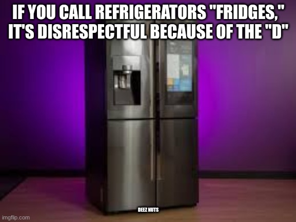 IF YOU CALL REFRIGERATORS "FRIDGES," IT'S DISRESPECTFUL BECAUSE OF THE "D"; DEEZ NUTS | made w/ Imgflip meme maker