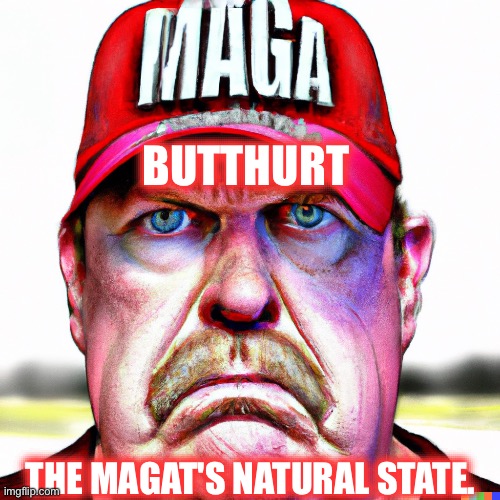 Butthurt MAGA | BUTTHURT; THE MAGAT'S NATURAL STATE. | image tagged in butthurt,maga,magat,chump,trumpie,mad | made w/ Imgflip meme maker