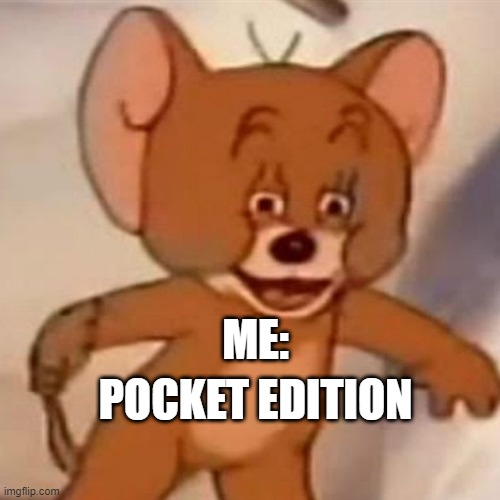 Polish Jerry | POCKET EDITION ME: | image tagged in polish jerry | made w/ Imgflip meme maker