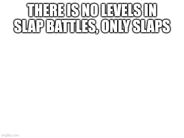 THERE IS NO LEVELS IN SLAP BATTLES, ONLY SLAPS | made w/ Imgflip meme maker