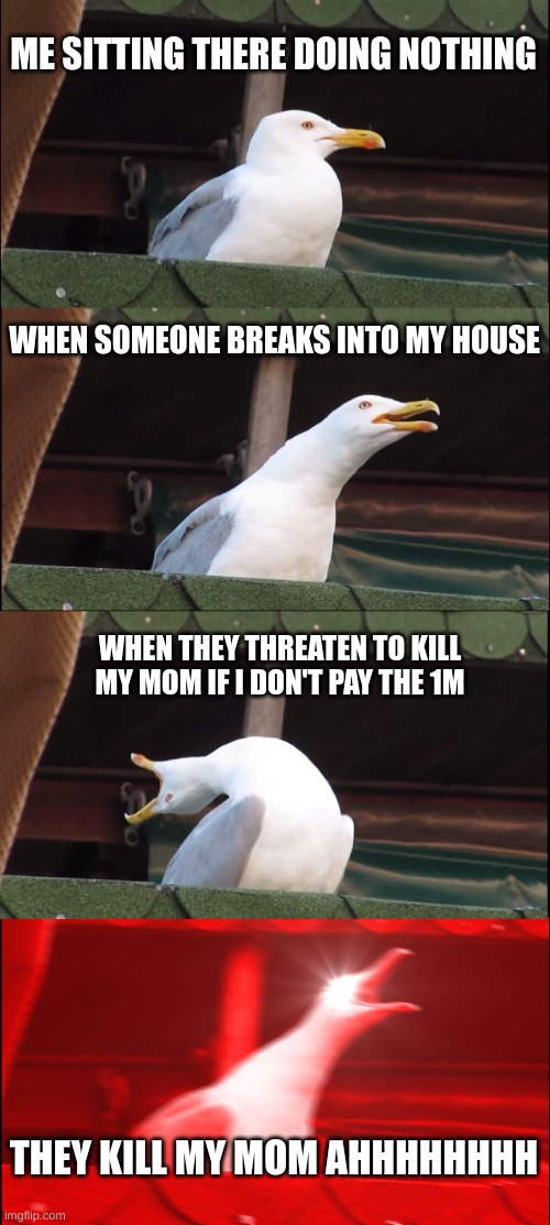 Inhaling Seagull Meme | ME SITTING THERE DOING NOTHING; WHEN SOMEONE BREAKS INTO MY HOUSE; WHEN THEY THREATEN TO KILL MY MOM IF I DON'T PAY THE 1M; THEY KILL MY MOM AHHHHHHHH | image tagged in memes,inhaling seagull | made w/ Imgflip meme maker