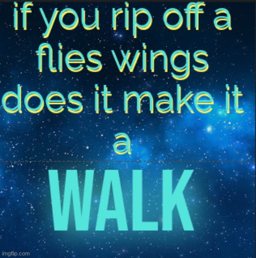 flies | image tagged in idk | made w/ Imgflip meme maker