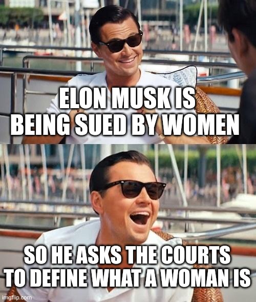 Leonardo Dicaprio Wolf Of Wall Street | ELON MUSK IS BEING SUED BY WOMEN; SO HE ASKS THE COURTS TO DEFINE WHAT A WOMAN IS | image tagged in memes,leonardo dicaprio wolf of wall street | made w/ Imgflip meme maker