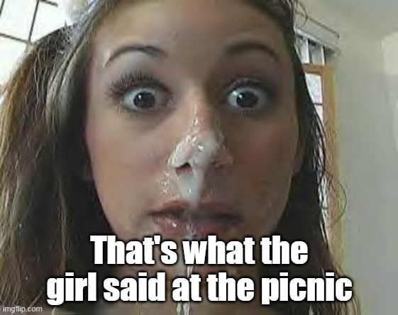 That's what the girl said at the picnic | made w/ Imgflip meme maker