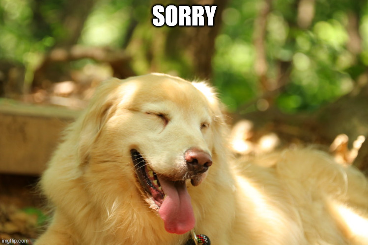 Dog laughing | SORRY | image tagged in dog laughing | made w/ Imgflip meme maker